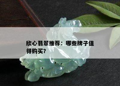 欣心翡翠推荐：哪些牌子值得购买？