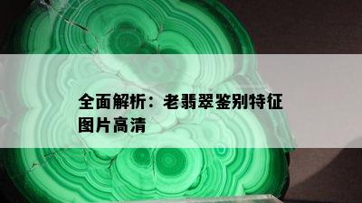 全面解析：老翡翠鉴别特征图片高清