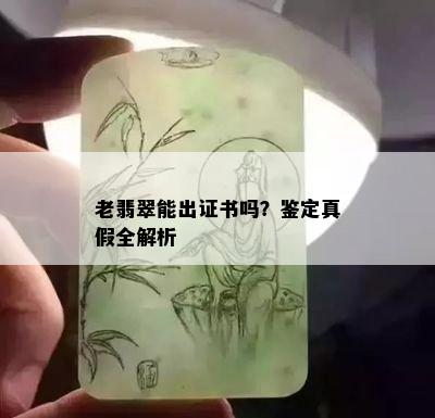 老翡翠能出证书吗？鉴定真假全解析