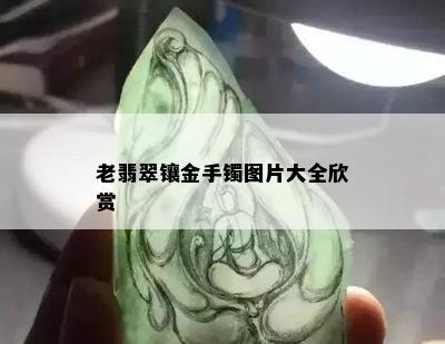 老翡翠镶金手镯图片大全欣赏