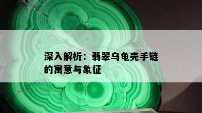 深入解析：翡翠乌龟壳手链的寓意与象征