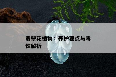 翡翠花植物：养护要点与性解析