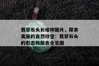 翡翠石头长啥样图片，探索美丽的自然珍宝：翡翠石头的形态和颜色全览图