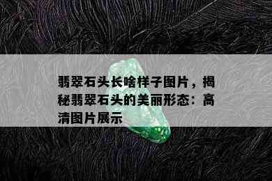 翡翠石头长啥样子图片，揭秘翡翠石头的美丽形态：高清图片展示