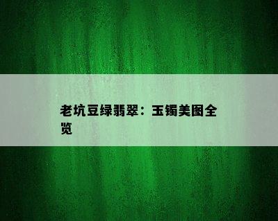 老坑豆绿翡翠：玉镯美图全览