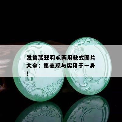 发簪翡翠羽毛两用款式图片大全：集美观与实用于一身！