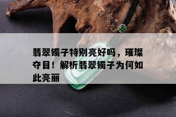 翡翠镯子特别亮好吗，璀璨夺目！解析翡翠镯子为何如此亮丽