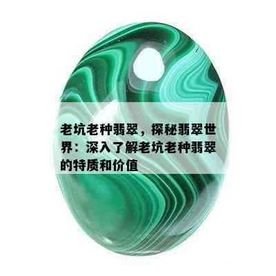 老坑老种翡翠，探秘翡翠世界：深入了解老坑老种翡翠的特质和价值