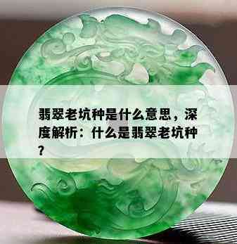 翡翠老坑种是什么意思，深度解析：什么是翡翠老坑种？