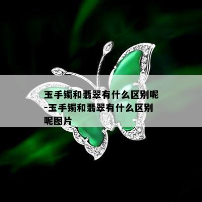 玉手镯和翡翠有什么区别呢-玉手镯和翡翠有什么区别呢图片