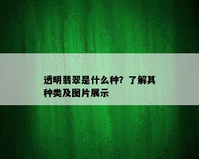 透明翡翠是什么种？了解其种类及图片展示