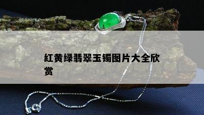 红黄绿翡翠玉镯图片大全欣赏