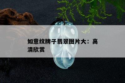 如意纹牌子翡翠图片大：高清欣赏