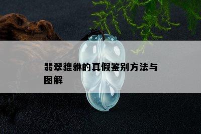 翡翠貔貅的真假鉴别方法与图解