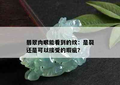 翡翠肉眼能看到的纹：是裂还是可以接受的瑕疵？