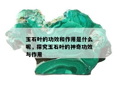 玉石叶的功效和作用是什么呢，探究玉石叶的神奇功效与作用