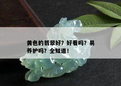 黄色的翡翠好？好看吗？易养护吗？全知道！