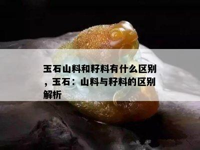 玉石山料和籽料有什么区别，玉石：山料与籽料的区别解析