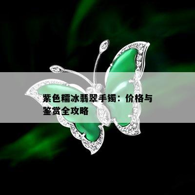 紫色糯冰翡翠手镯：价格与鉴赏全攻略