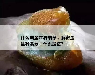 什么叫金丝种翡翠，解密金丝种翡翠：什么是它？