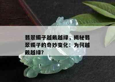 翡翠镯子越戴越绿，揭秘翡翠镯子的奇妙变化：为何越戴越绿？