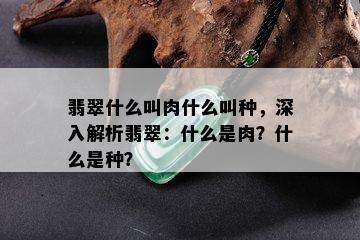 翡翠什么叫肉什么叫种，深入解析翡翠：什么是肉？什么是种？