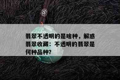 翡翠不透明的是啥种，解惑翡翠收藏：不透明的翡翠是何种品种？