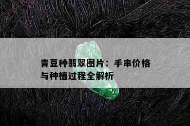 青豆种翡翠图片：手串价格与种植过程全解析