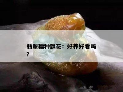 翡翠糯种飘花：好养好看吗？