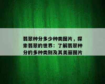 翡翠种分多少种类图片，探索翡翠的世界：了解翡翠种分的多种类别及其美丽图片