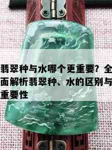 翡翠种与水哪个更重要？全面解析翡翠种、水的区别与重要性