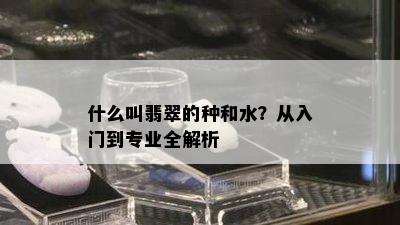 什么叫翡翠的种和水？从入门到专业全解析