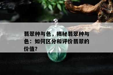 翡翠种与色，揭秘翡翠种与色：如何区分和评价翡翠的价值？