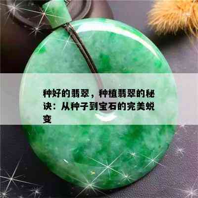 种好的翡翠，种植翡翠的秘诀：从种子到宝石的完美蜕变