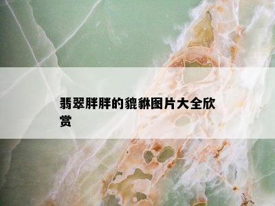 翡翠胖胖的貔貅图片大全欣赏