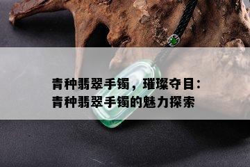 青种翡翠手镯，璀璨夺目：青种翡翠手镯的魅力探索