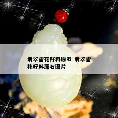 翡翠雪花籽料原石-翡翠雪花籽料原石图片