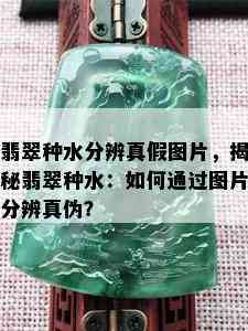 翡翠种水分辨真假图片，揭秘翡翠种水：如何通过图片分辨真伪？