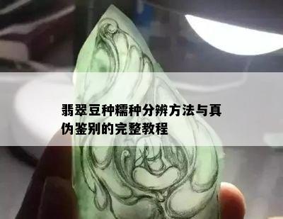 翡翠豆种糯种分辨方法与真伪鉴别的完整教程