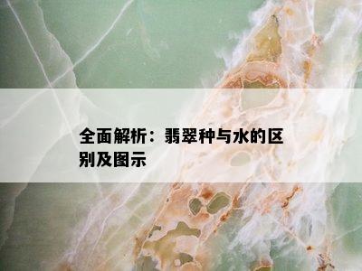 全面解析：翡翠种与水的区别及图示