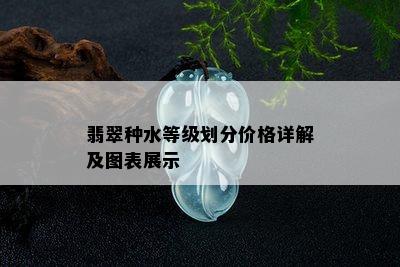 翡翠种水等级划分价格详解及图表展示