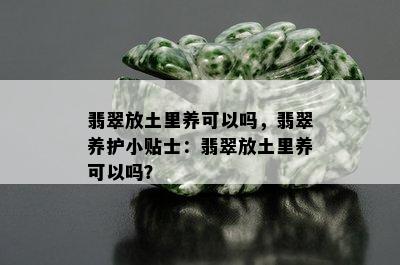 翡翠放土里养可以吗，翡翠养护小贴士：翡翠放土里养可以吗？