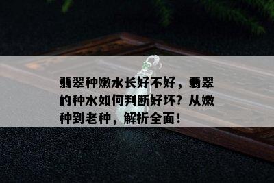 翡翠种嫩水长好不好，翡翠的种水如何判断好坏？从嫩种到老种，解析全面！