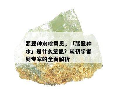 翡翠种水啥意思，「翡翠种水」是什么意思？从初学者到专家的全面解析