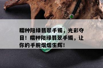 糯种阳绿翡翠手镯，光彩夺目！糯种阳绿翡翠手镯，让你的手腕熠熠生辉！