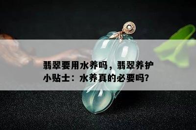 翡翠要用水养吗，翡翠养护小贴士：水养真的必要吗？