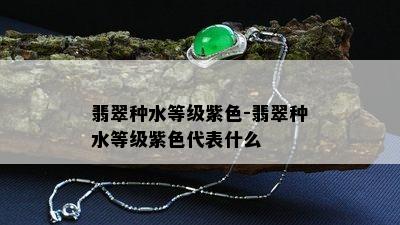 翡翠种水等级紫色-翡翠种水等级紫色代表什么