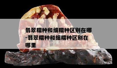 翡翠糯种和细糯种区别在哪-翡翠糯种和细糯种区别在哪里