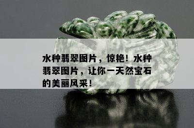 水种翡翠图片，惊艳！水种翡翠图片，让你一天然宝石的美丽风采！