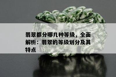 翡翠都分哪几种等级，全面解析：翡翠的等级划分及其特点